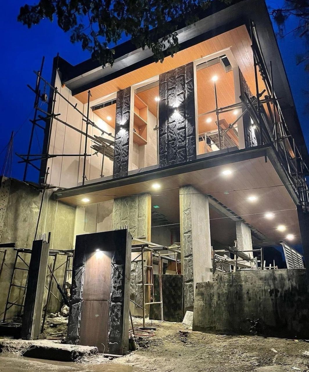 Carlos House Progress 1